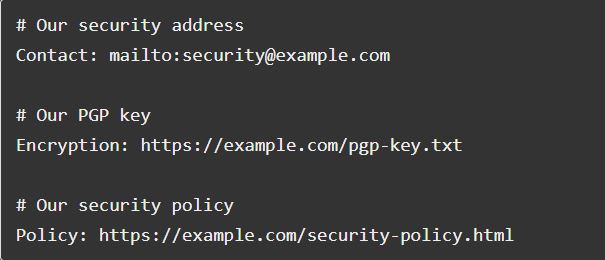 SECURITY_TXT_EXAMPLE